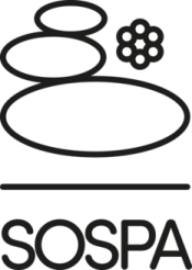 SOSPA program fryzjerów i gabinetów 10 zasobów