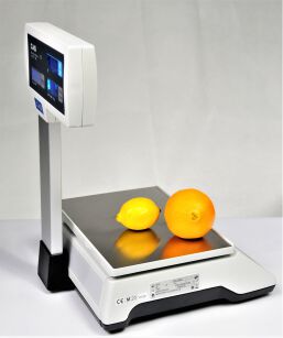 Waga elektroniczna CAS ER JUNIOR 15 P RS - 2